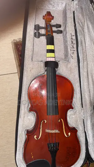 Faily Used Violin