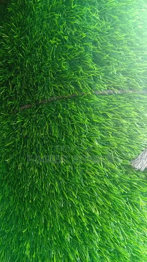 Artificial Carpet Grass for Football Pitch
