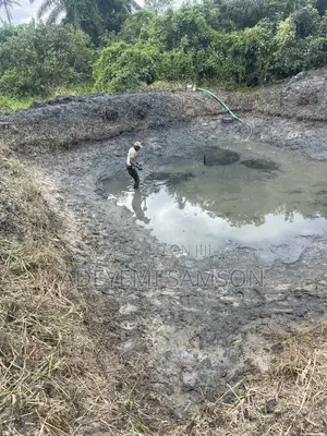 4 Fish Ponds on 4 Plots of Land for Sale