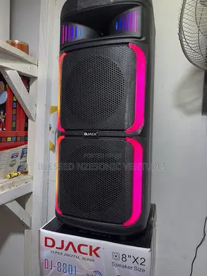 Portable Party Speaker
