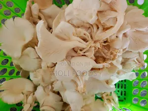 Premium Dried Mushrooms – Fresh Natural