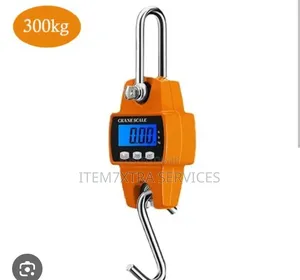 300kg Mini Crane