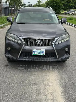 Lexus RX 2010 Gray
