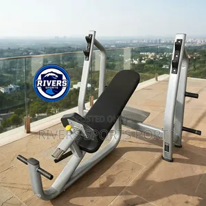 New Commercial Professional Incline Weight Bench Press Heavy-Duty