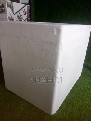 Styrofoam Ice Box