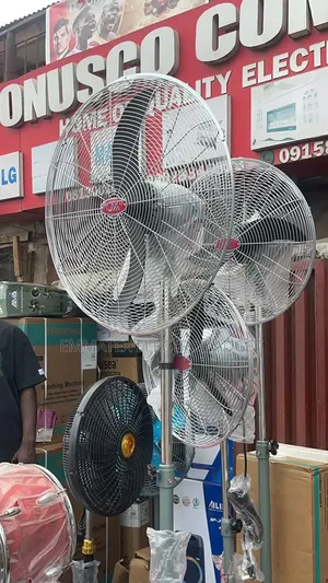 Standing Fan