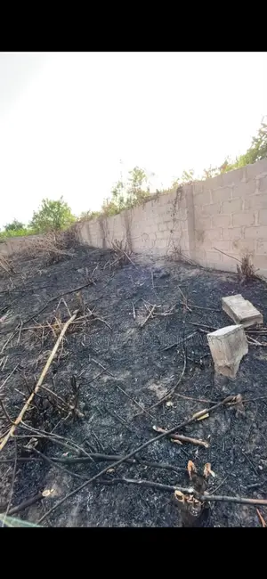 1 Plot of Land for Sale