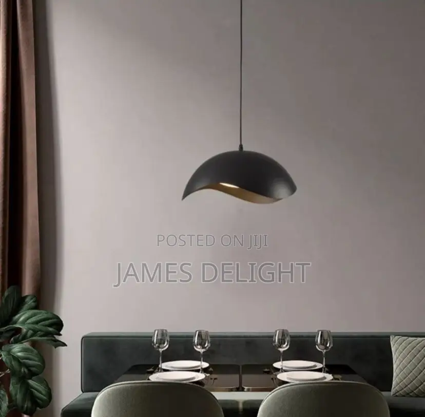 Modern Wave Down Pendant Light.