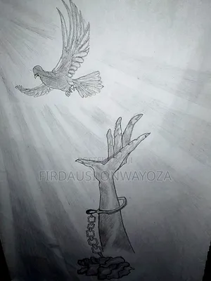 Striving for Freedom