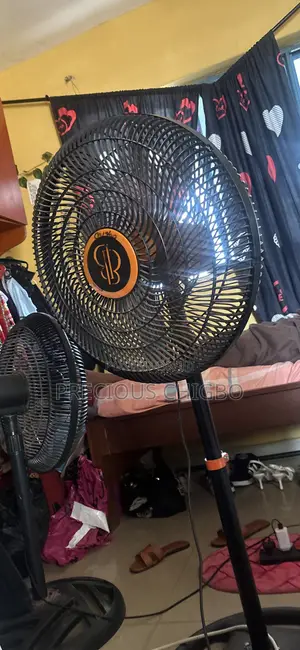 Standing Fan