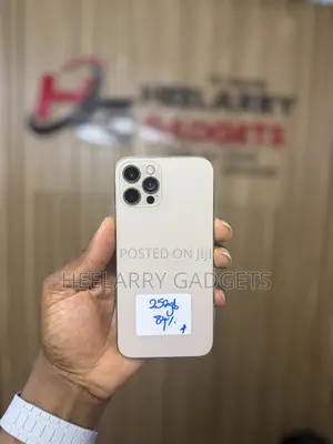 Apple iPhone 12 Pro 256 GB Gold