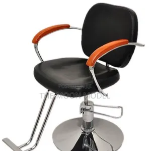 Styling Beauty Salon Chair