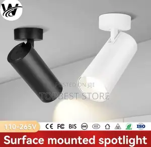Surface Mounted Spot Light