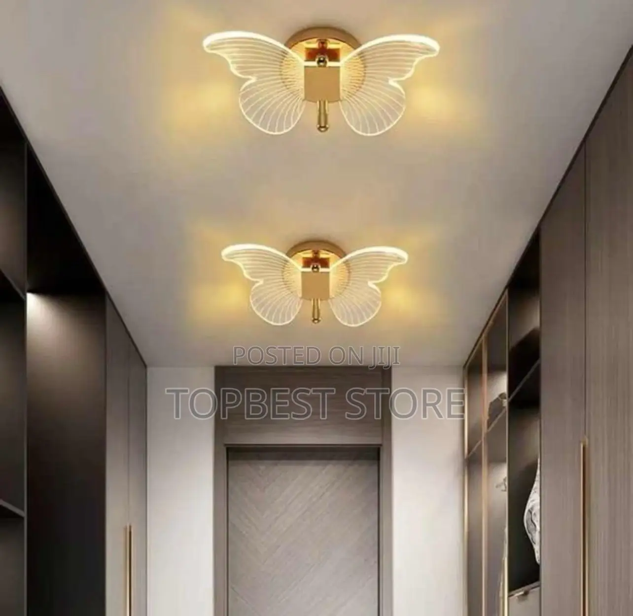 Modern Ceiling/Wall Butterfly Light