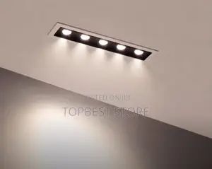 Modern Ceiling Spot Light