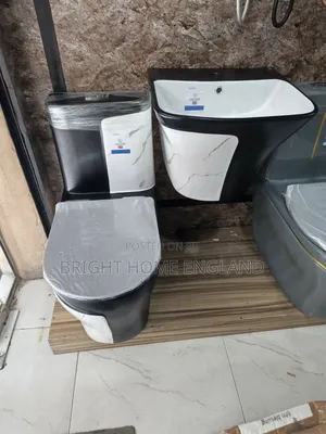 Executive Wc Black and Marble Color