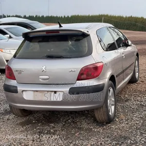 Peugeot 307 2007 Silver