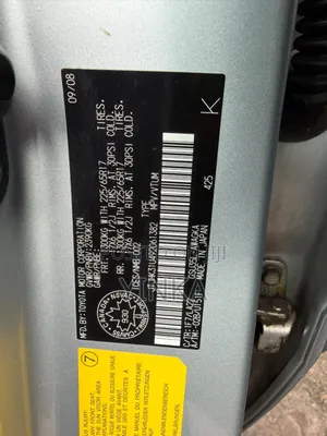 Lexus RX 2009 Silver