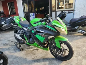 Kawasaki Ninja 300 2017 Green