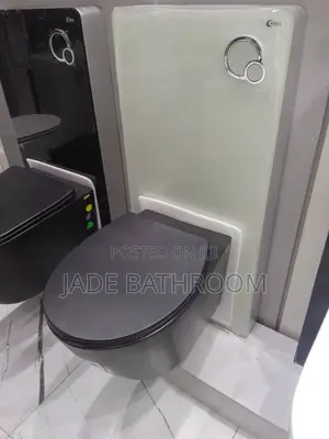 Concealed Wc