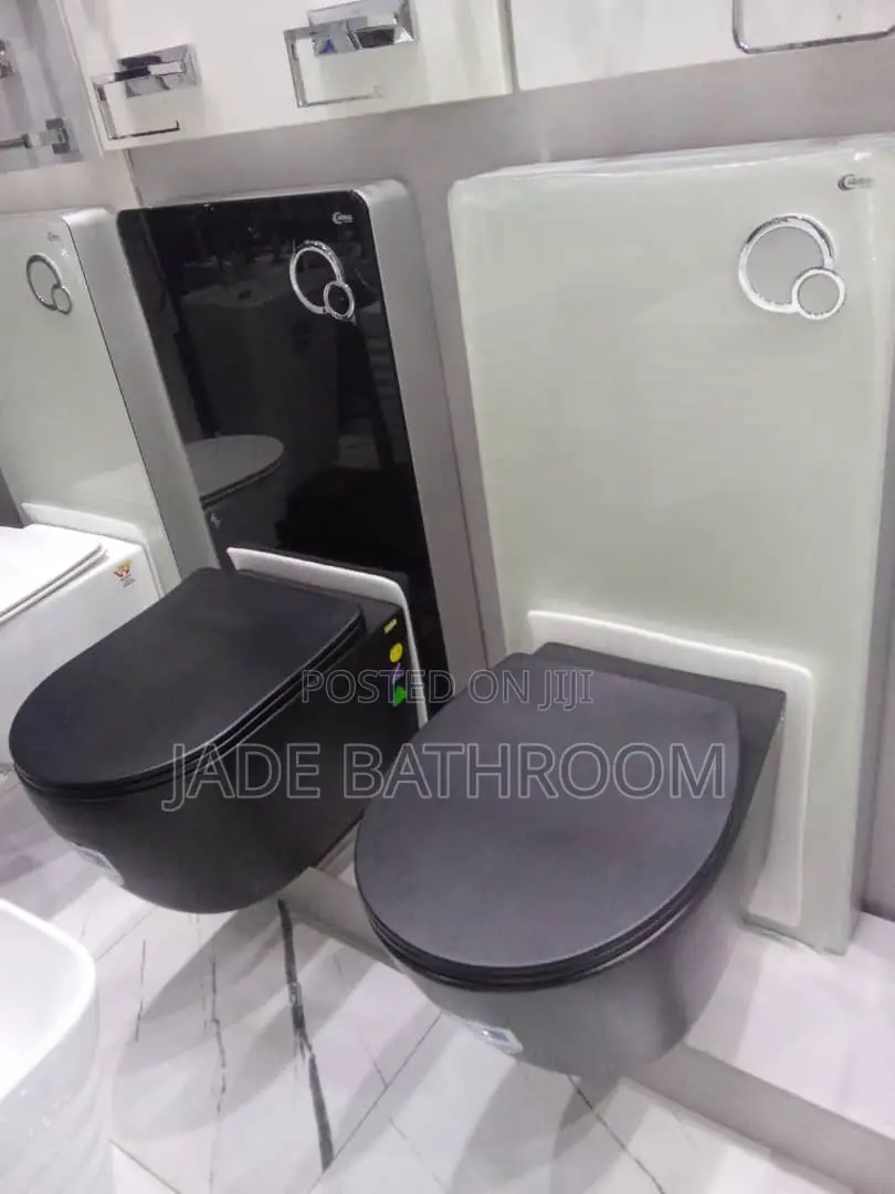Concealed Wc