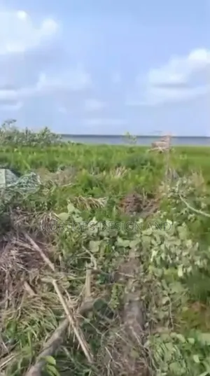 8plots of Waterfront Land Available at Lekki Free Trade Zone Ibeju Lekki