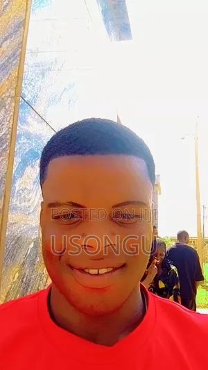 Mister Usongu Terlanga Frank