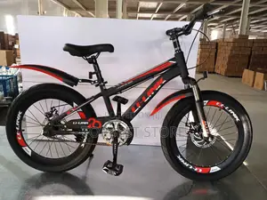 Children Bicycles 20 Inches 8 to 15 Quality