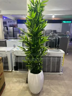 Fiberglass Vase Nd Plants