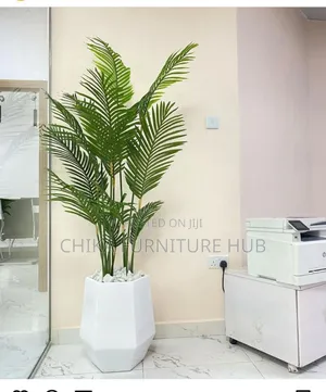 Interior Flower Plants