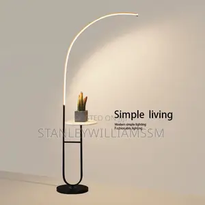 Standing Lamp Light