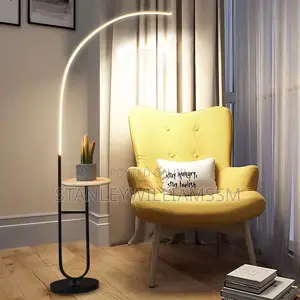 Standing Lamp Light