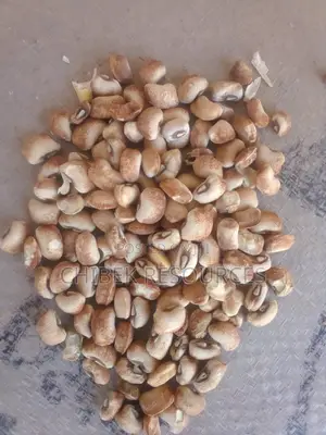 30 Big Painta Biu Honey Beans