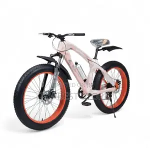 Best Quality Adult Bicycle