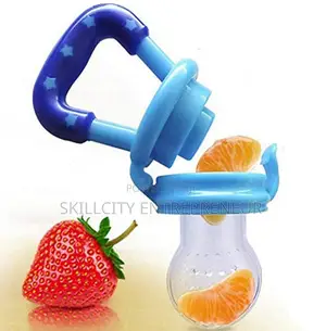 Baby Fruit Feeder Pacifier