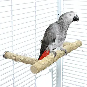 The Ultimate Training and Companion Guide for African Grey Parrots.