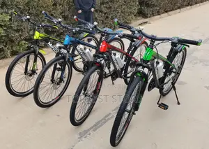 High Quality Adult Bicycle