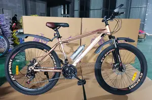 High Quality Adult Bicycle