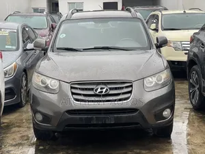 Hyundai Santa Fe 2010 Gray