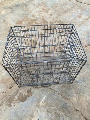 Big Dog Cage