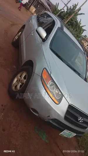 Hyundai Santa Fe 2010 Gray