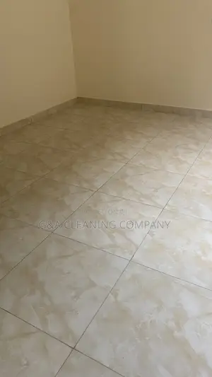 Cleaning Services