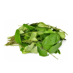 Uziza Leaf