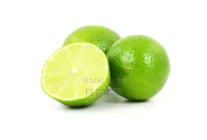 Fresh Lemon