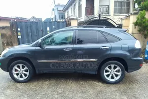 Lexus RX 2008 Gray