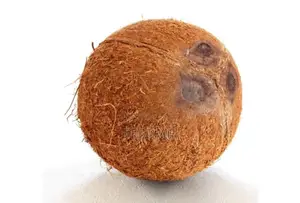 Fresh Coconut
