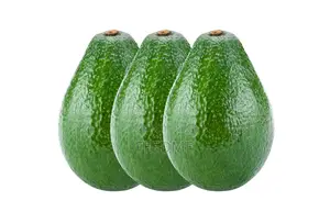 Fresh Avocado