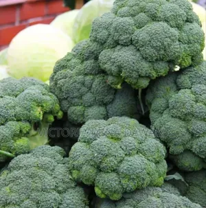 Broccoli Vegetable