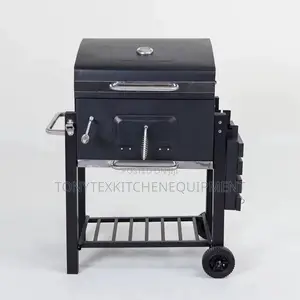 Professional Charcoal Grill for Chicken Fishf