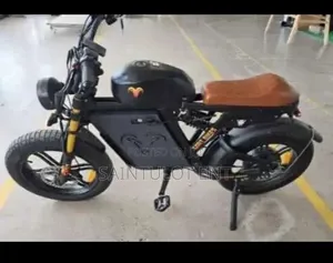 Dual Motor, Triple Battery 52v 79ah Electric Bike(Usa Spec)